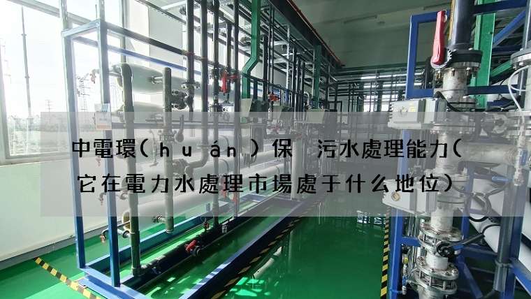 中電環(huán)保 污水處理能力( 它在電力水處理市場處于什么地位)